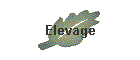 Elevage